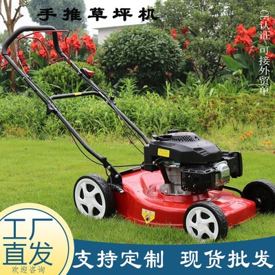 厂家直供四冲程手推草坪机 汽油款带收草袋轮式割草机 农场剪草机图3