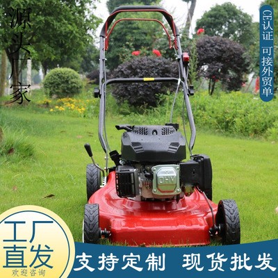 批发自走式草坪机 18/20/21寸手推款花园剪草机 四冲程手推割草机图2