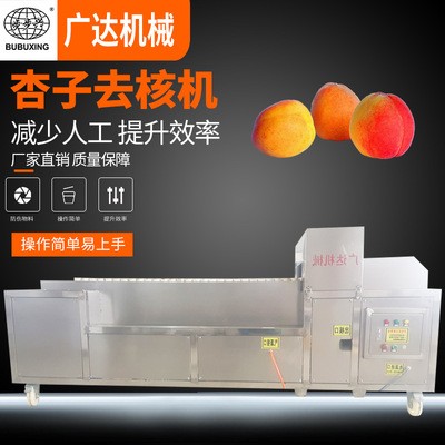 厂家直销 不锈钢杏子去核机 黄杏去核分瓣机 水果去核机械设备