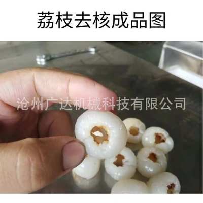 全自动商用荔枝去核机 龙眼去核机 厂家直销现货图2