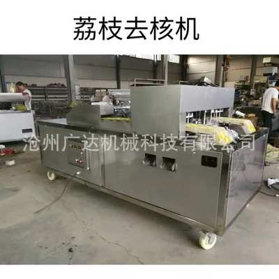 全自动商用荔枝去核机 龙眼去核机 厂家直销现货图3