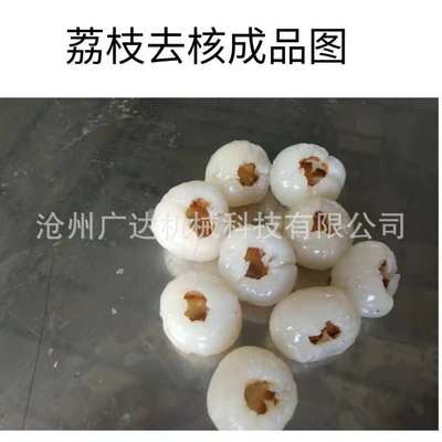 全自动商用荔枝去核机 龙眼去核机 厂家直销现货图5