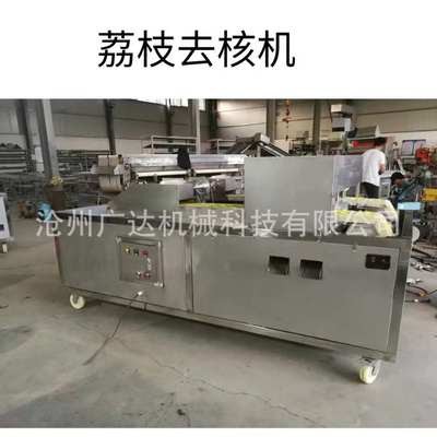 全自动商用荔枝去核机 龙眼去核机 厂家直销现货图4