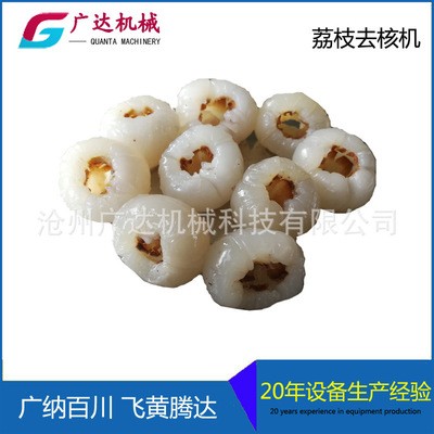全自动商用荔枝去核机 龙眼去核机 厂家直销现货