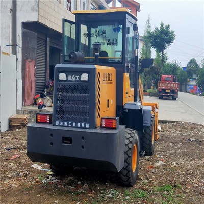 鲁工铲车 多功能935抓草抓木机厂家 工程材料运输推土小型装载机图3