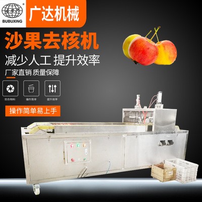 可生产通孔沙果去核机 山楂去籽机厂家 海棠果去核机厂家直销