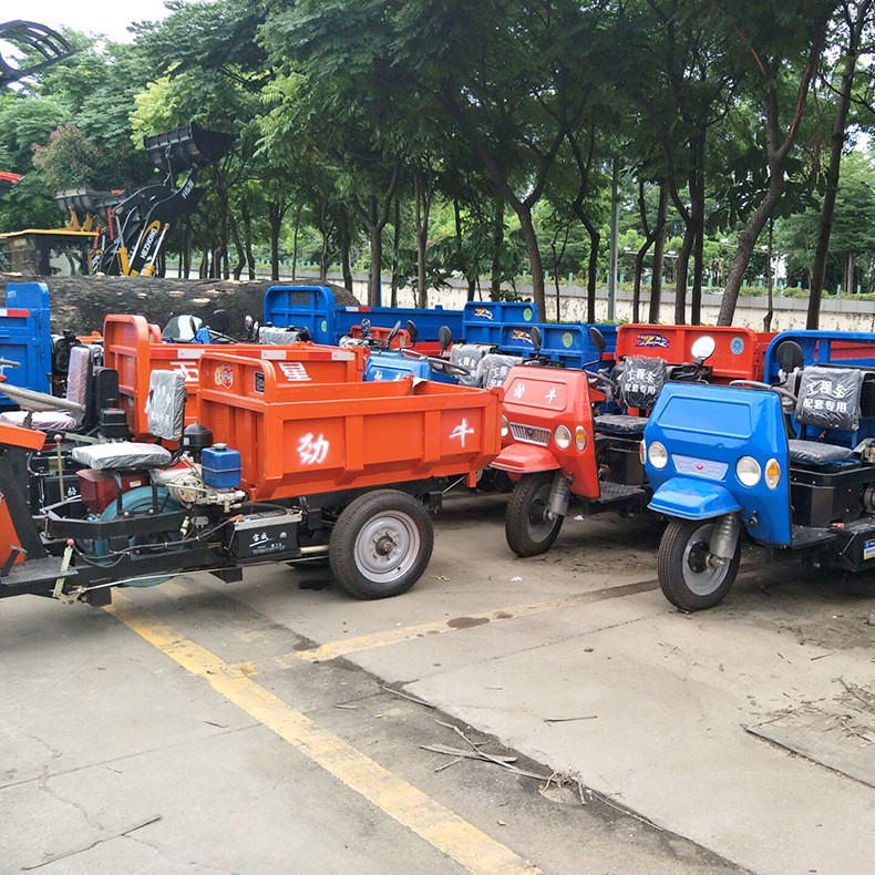 佛山三轮车厂家直销电动三轮车 可定做直板三轮型 可楼顶运输使用图5