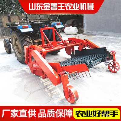 4u-1650薯类收获机金薯王农业机械 胡萝卜地瓜土豆红薯带秧收获机图3