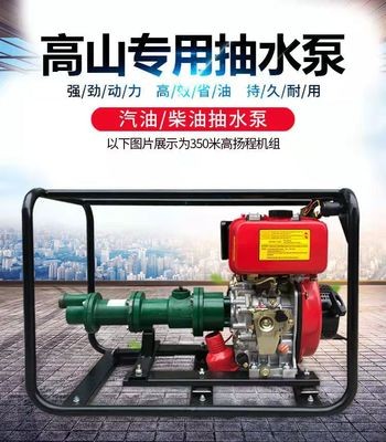 高扬程水泵200米300米高压抽水机农用高山水泵2寸螺杆泵 汽油柴油图2