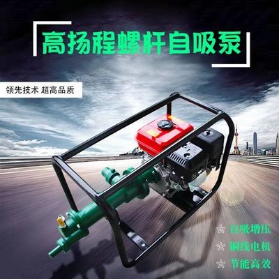 高扬程水泵200米300米高压抽水机农用高山水泵2寸螺杆泵 汽油柴油图4