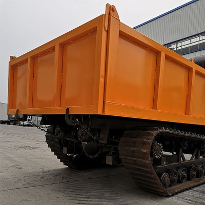 瑞通6吨运输车 8吨履带运输车 厂家做运输车图3