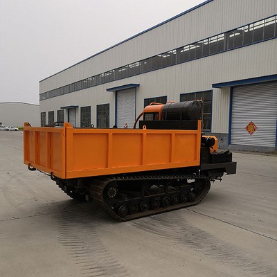 瑞通6吨运输车 8吨履带运输车 厂家做运输车图4