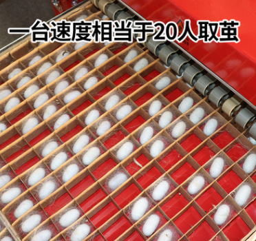 滚利牌自动电动采茧机摘茧机取茧机蚕茧采摘机一小时采摘1.5张纸图4