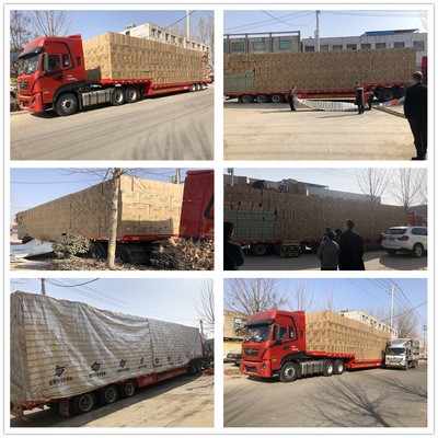 新款加厚背负式电动喷雾器16L/18L/20升农用电动打药机图4