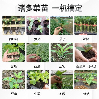 栽苗种菜神器全自动辣椒移苗插烟移栽器玉米种植机种菜机播种机图3