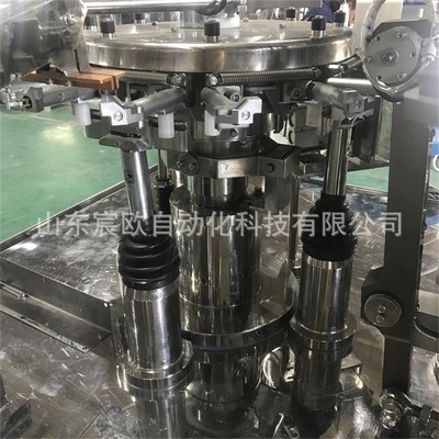 坚果包装机 自动称重给袋式核桃颗粒包装机械设备 预制袋包装机图2