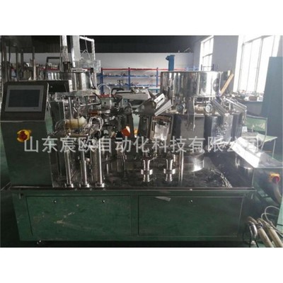 自动称重粉剂预制袋包装机 水平给袋式果脯包装机 调味粉末包装机图4