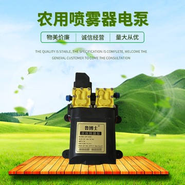 农用打药隔膜泵 12V智能高压大功率双泵 电动喷雾器水泵 架子泵