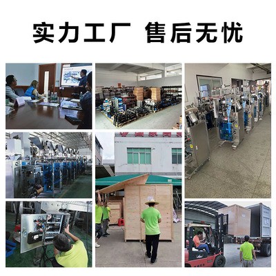 立式孜然粉包装机 厨房调料辣椒粉土豆粉打包机 背封式粉末包装机图4