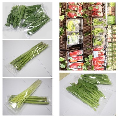 蔬菜包装机 蔬菜全自动打包机 伺服枕式往复包装机械设备图4