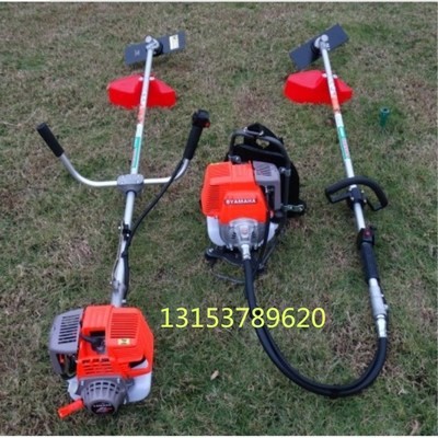 汽油二冲程割草机 背负式园林修剪草坪机 可配打草头现货图2