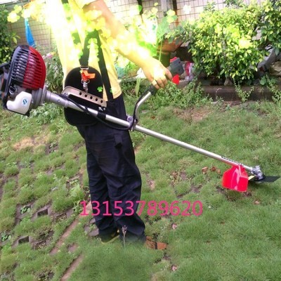 汽油二冲程割草机 背负式园林修剪草坪机 可配打草头现货图4