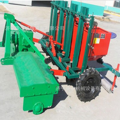 两行根茎类种子播种机 悬挂式马铃薯种植机 土豆播种机图2