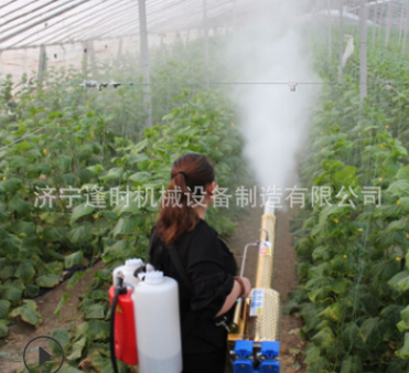 学校消毒弥雾机农用烟雾机高压水雾迷雾汽油喷雾器养殖场打药图2