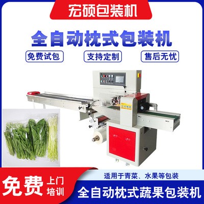 宏硕直销枕式蔬菜包装机 全自动水果果蔬包装机 三伺服装袋机设备
