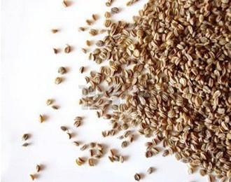 精威套袋式定量粮食包装机械大米包装机小麦自动称重分装机流量秤图2