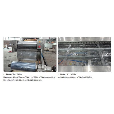 供应BD-420Y全自动气调硬盒包装机 海产品气调真空包装机图2