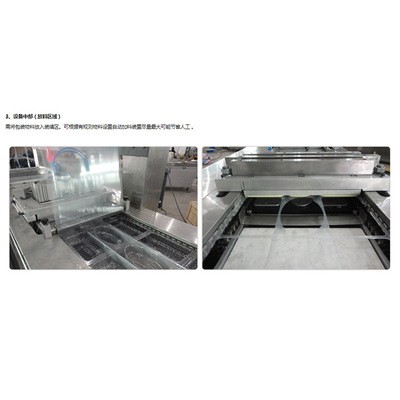 供应BD-420Y全自动气调硬盒包装机 海产品气调真空包装机图3