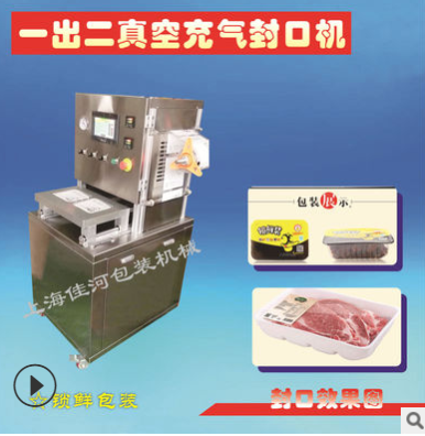 果蔬真空保鲜封口机 食品真空充氮封口机图4