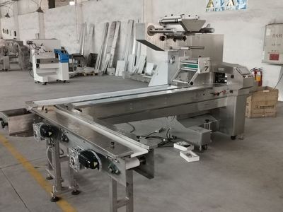 厂家供应DK-300S伺服型 不锈钢包装机 枕式食品五金包装机可定制图5