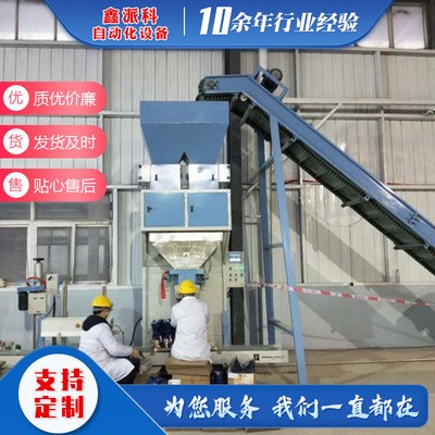 厂家供应自动化包装机打包称定量包装秤图2