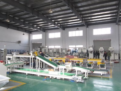 特殊物料定量包装机 饲料包装机 雄鹰包装机图2