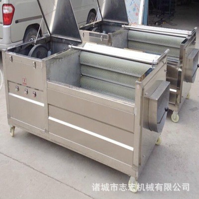 大型全自动水果清洗机 土豆山药蔬菜清洗机 厂家直销高淋喷洗设备图4