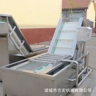 大型全自动水果清洗机 土豆山药蔬菜清洗机 厂家直销高淋喷洗设备图3