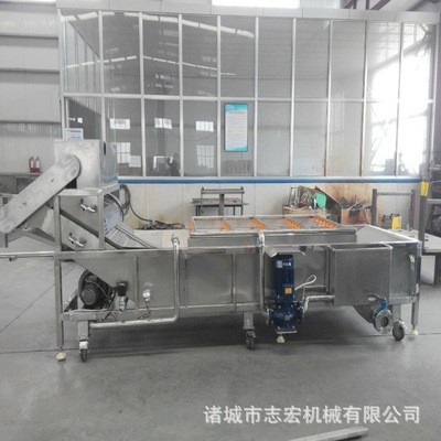 大型全自动水果清洗机 土豆山药蔬菜清洗机 厂家直销高淋喷洗设备图2