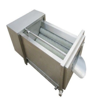 大型全自动水果清洗机 土豆山药蔬菜清洗机 厂家直销高淋喷洗设备图5