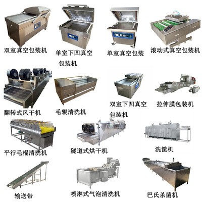 红薯土豆去皮清洗机 全自动毛刷辊洗姜机 多功能根茎类药材清洗机图4