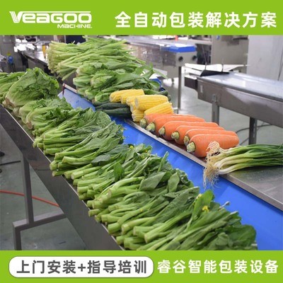 源头厂家 自动打透气孔蔬菜包装机 自动识别物料长短蔬菜包装机械