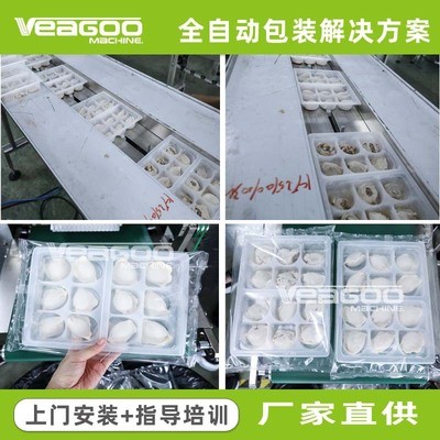 厂家带托速冻饺子包装机自动打日期 VT-280不锈钢饺子枕式包装机图2