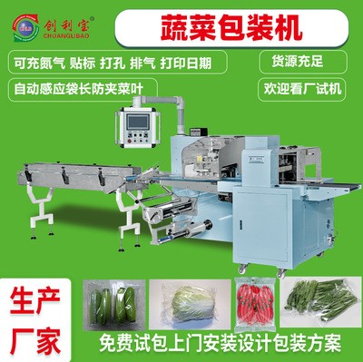 蔬菜包装机往复式枕式全自动真空包装机肉类果蔬食品包装机械设备
