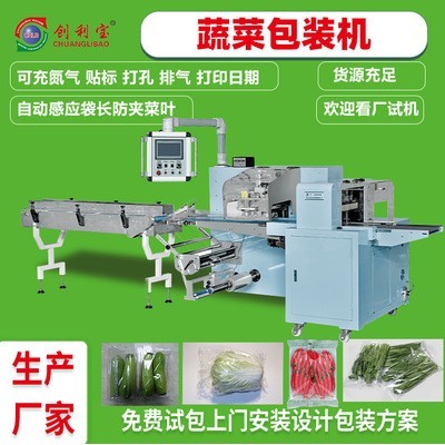 蔬菜包装机往复式枕式全自动真空包装机肉类果蔬食品包装机械设备