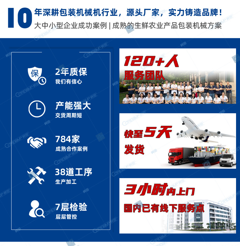 VT-110G-210G-柠檬_04