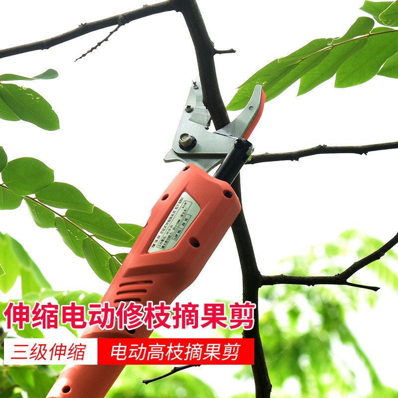 伸缩电动修枝剪摘果剪园林修枝剪粗枝伸缩剪高空园艺枝剪 可定制图3
