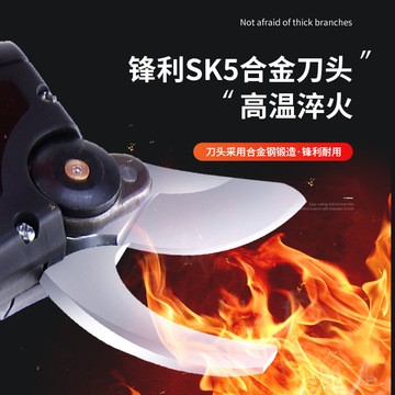 锂电修枝剪果园苗木家用便携手持修枝剪大号剪子树枝剪钳电动剪刀图3