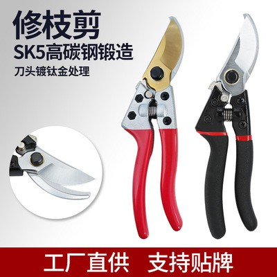 厂家直供SK5树枝剪园林弯头修枝剪粗枝剪 摘果剪 盆景修花剪