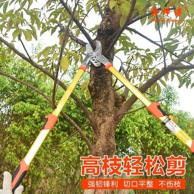 黄师傅伸缩粗枝剪果树修枝剪大力士伸缩树枝剪批发图2